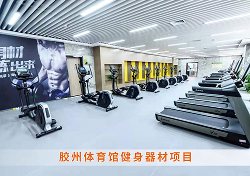 ?leyu.樂(lè)魚(yú)體育為膠州體育館打造的健身房